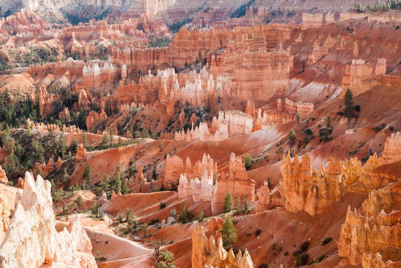 Summers Love Near Zion Np Washington Ngoại thất bức ảnh