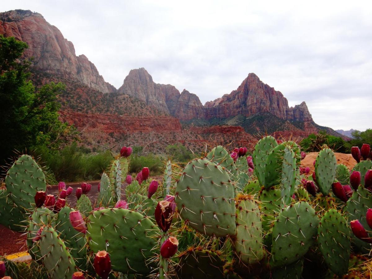 Summers Love Near Zion Np Washington Ngoại thất bức ảnh